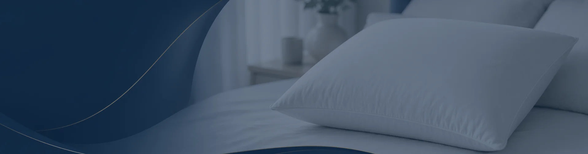 collection-banner-image
