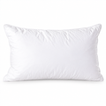 Duck Down & Feather Pillow main